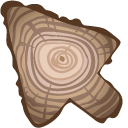 Tree Slice