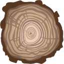 Tree Slice