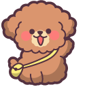 Cute Brown Maltipoo