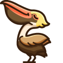 Cute Brown Pelican