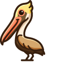 Cute Brown Pelican