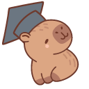 Cute Capybara Teacher