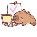 Cute Capybara Working on a Laptop