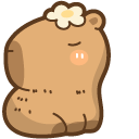Cute Capybara