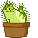 Cute Catctus