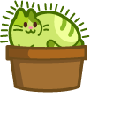 Cute Catctus