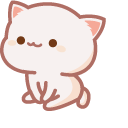 Cute Chill Cat