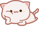 Cute Chill Cat