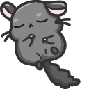 Cute Chinchilla