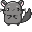 Cute Chinchilla