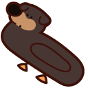 Cute Dogs as Ducks