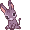 Cute Donkey