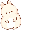Cute Fat Rabbit