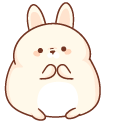 Cute Fat Rabbit