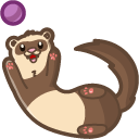 Cute Ferret