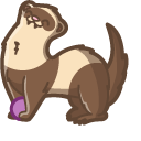 Cute Ferret