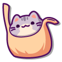 Cute Gray Cat in a Bag and a Box
