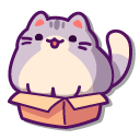 Cute Gray Cat in a Bag and a Box