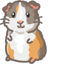 Cute Guinea Pig