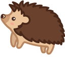 Cute Hedgehog