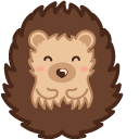 Cute Hedgehog