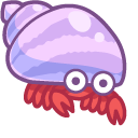 Cute Hermit Crab