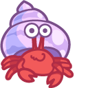 Cute Hermit Crab