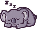 Cute Koala
