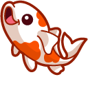 Cute Koi Fish