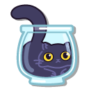 Cute Liquid Black Cat