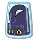 Cute Liquid Black Cat