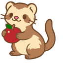 Cute Little Ferret with an Apple