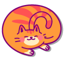 Cute Long Orange Cat