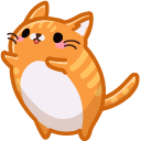 Cute Orange Cat in Box
