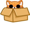 Cute Orange Cat in Box