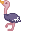 Cute Ostrich