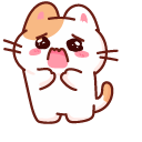 Cute Panicking and Happy Cat