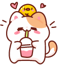 Cute Panicking and Happy Cat