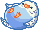 Cute Parrot