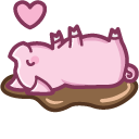 Cute Pig