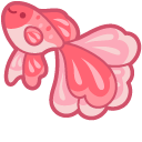 Cute Red Betta Fish
