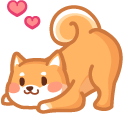 Cute Shiba Inu