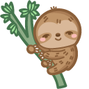 Cute Sloth Sleeping