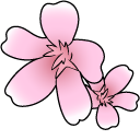Demon Slayer Ruka Rengoku and Sakura Flowers