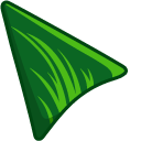 Green Grass in Forest