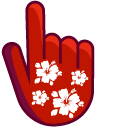 Hawaiian Hibiscus on Red Background