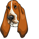 Basset Hound Dog