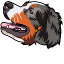 Bernese Mountain Dog