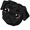 Black Pug Dog