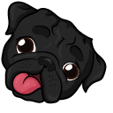 Black Pug Dog